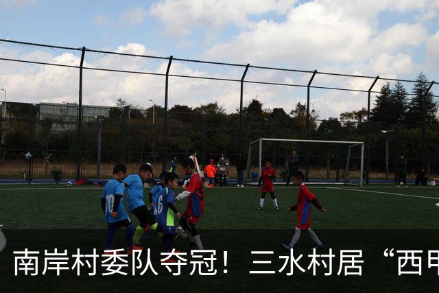 南岸村委队夺冠！三水村居“西甲”燃情落幕